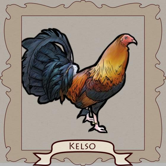 Kelso: The Smartest Fighting Rooster AND the Magic of ...
