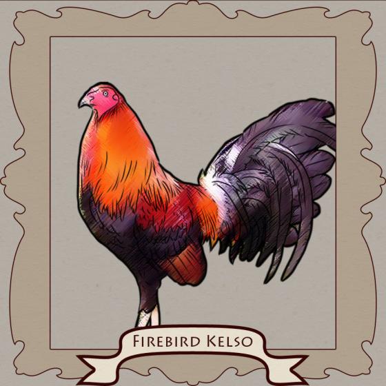 Fighting Rooster Breed Chart