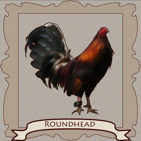 Fighting Rooster Breed Chart